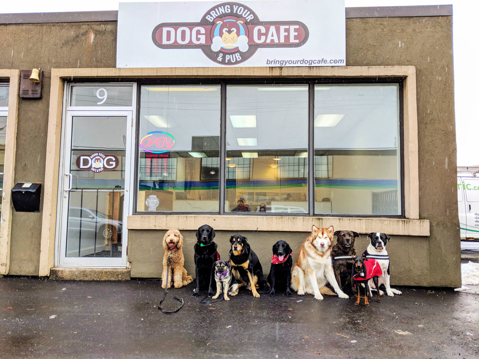 pup cafe near me